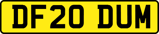 DF20DUM