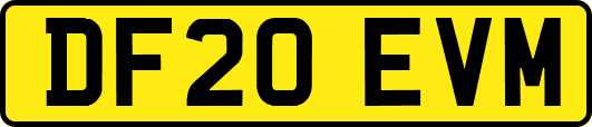 DF20EVM
