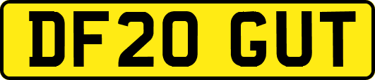 DF20GUT