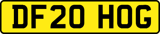 DF20HOG