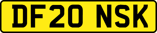 DF20NSK