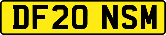 DF20NSM