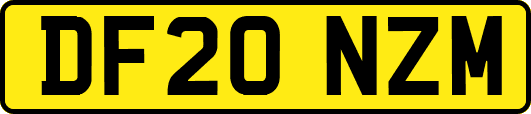 DF20NZM