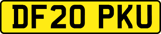 DF20PKU
