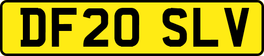 DF20SLV
