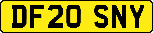 DF20SNY