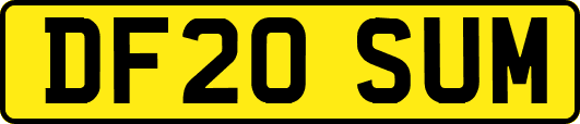 DF20SUM