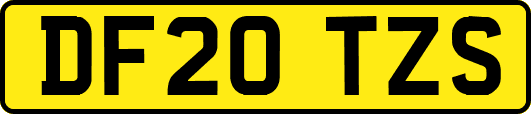 DF20TZS