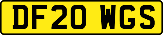 DF20WGS