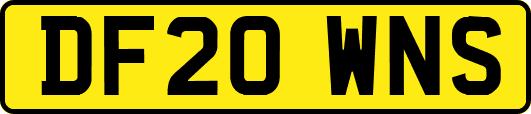 DF20WNS