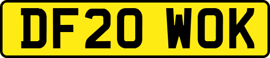 DF20WOK