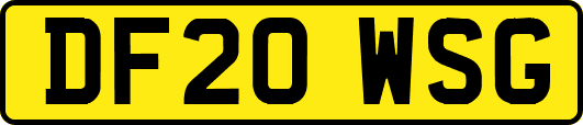 DF20WSG