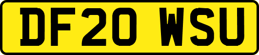 DF20WSU