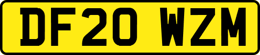 DF20WZM