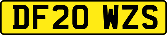 DF20WZS