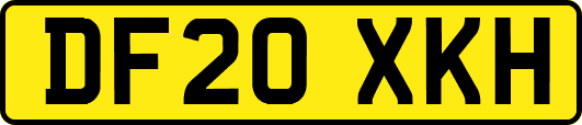 DF20XKH