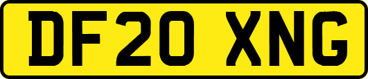 DF20XNG