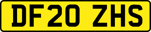 DF20ZHS