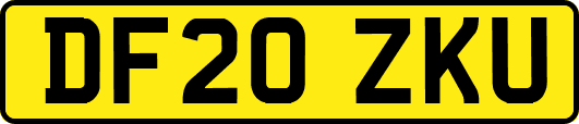 DF20ZKU