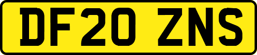 DF20ZNS