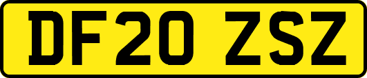 DF20ZSZ