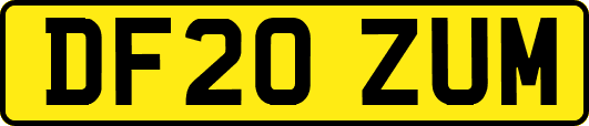 DF20ZUM