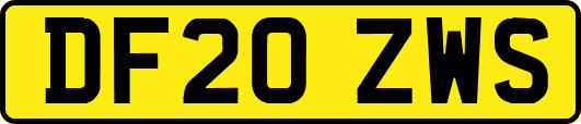 DF20ZWS
