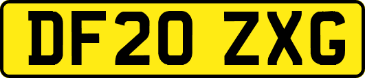 DF20ZXG