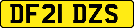 DF21DZS