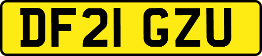 DF21GZU