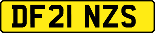 DF21NZS