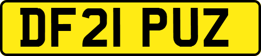 DF21PUZ