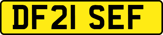 DF21SEF