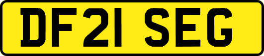 DF21SEG