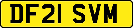 DF21SVM