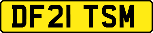 DF21TSM
