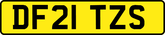 DF21TZS