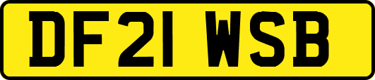 DF21WSB