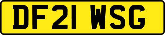 DF21WSG