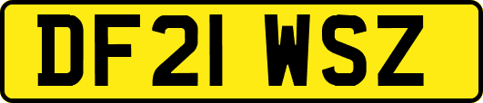 DF21WSZ