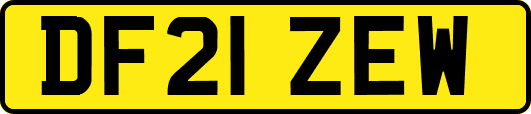 DF21ZEW