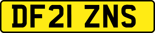 DF21ZNS