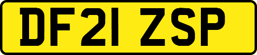 DF21ZSP