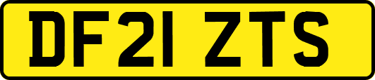 DF21ZTS
