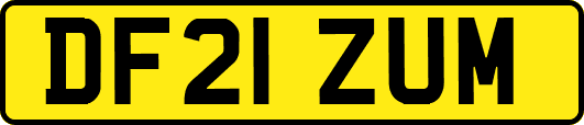 DF21ZUM