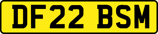 DF22BSM