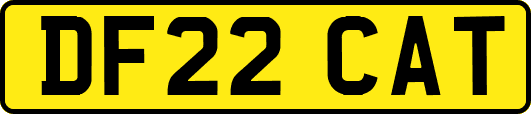 DF22CAT