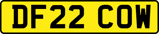 DF22COW