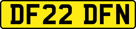 DF22DFN