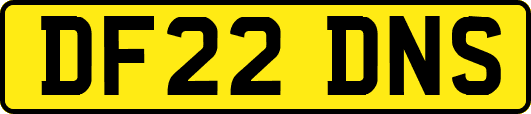 DF22DNS